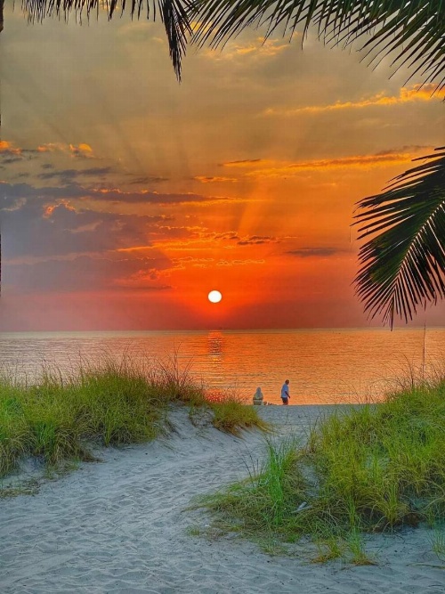 Sky Islands Beach image 5